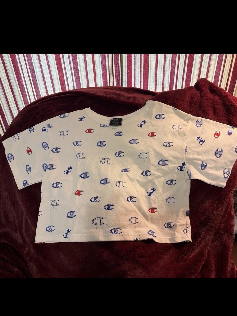 Champion Kids White Cropped Tee with Blue & Red Logo Print
